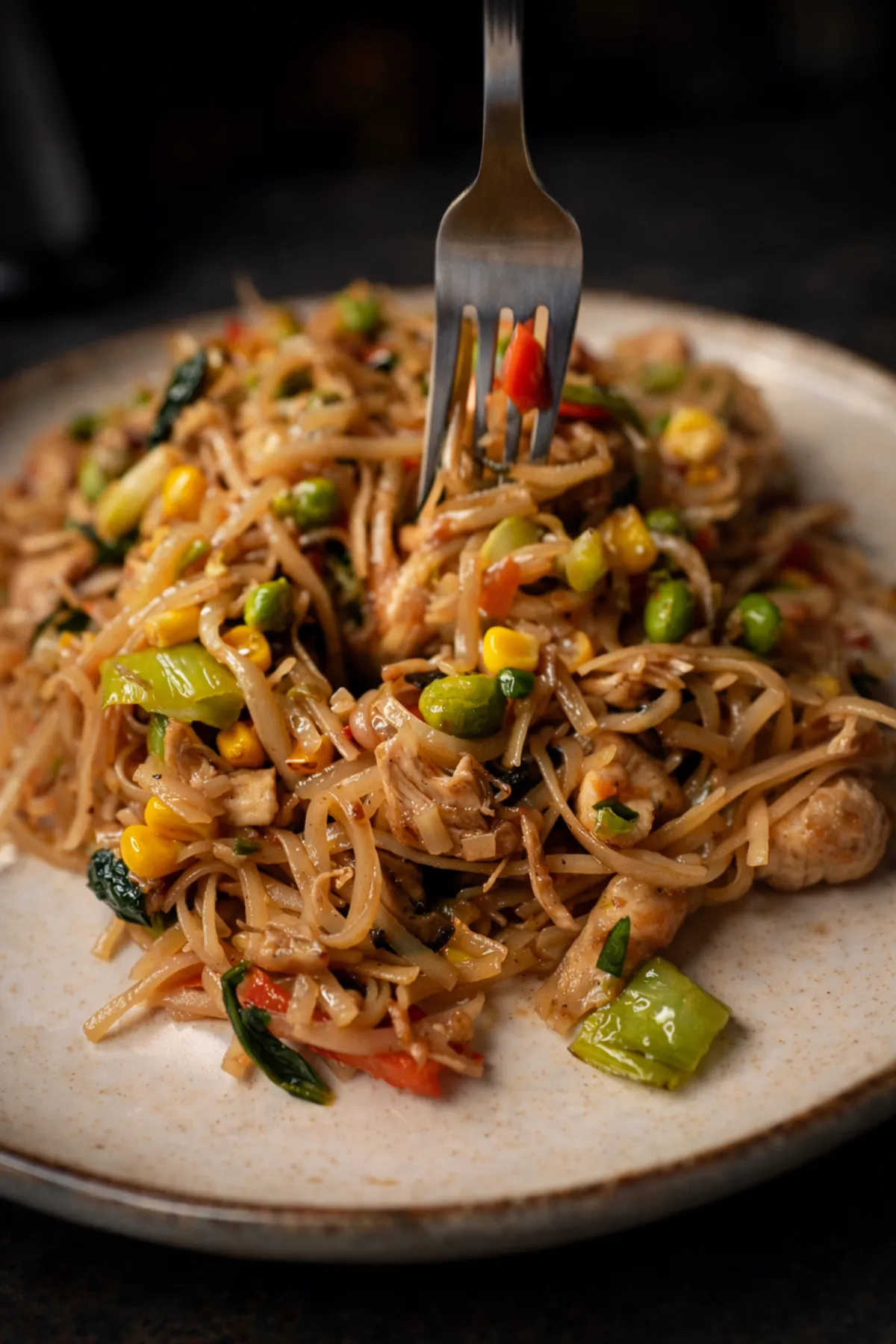 Wok asiatic cu noodles — 24g proteine, 309 kcal, 25 min